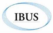 IBUS logo